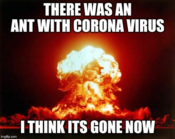 Nuclear Explosion Meme | THERE WAS AN ANT WITH CORONA VIRUS; I THINK ITS GONE NOW | image tagged in memes,nuclear explosion | made w/ Imgflip meme maker