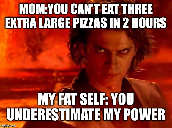 You Underestimate My Power Meme | MOM:YOU CAN’T EAT THREE EXTRA LARGE PIZZAS IN 2 HOURS; MY FAT SELF: YOU UNDERESTIMATE MY POWER | image tagged in memes,you underestimate my power | made w/ Imgflip meme maker