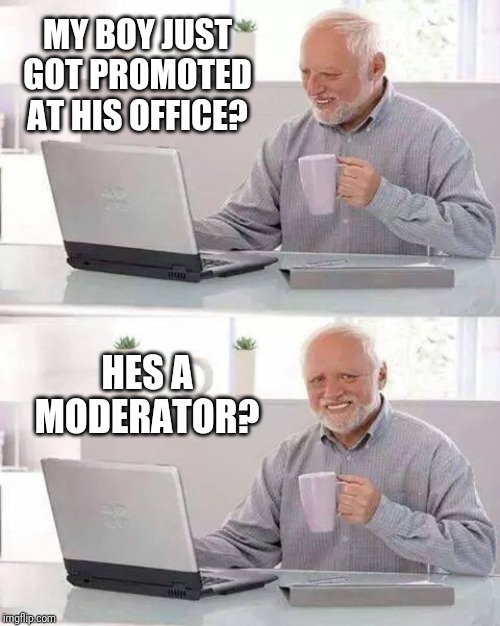 All work and No play makes for a dull day | MY BOY JUST GOT PROMOTED AT HIS OFFICE? HES A MODERATOR? | image tagged in memes,hide the pain harold,meanwhile on imgflip,work,imgflip mods | made w/ Imgflip meme maker