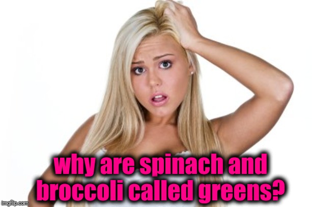 Dumb Blonde | why are spinach and broccoli called greens? | image tagged in dumb blonde | made w/ Imgflip meme maker