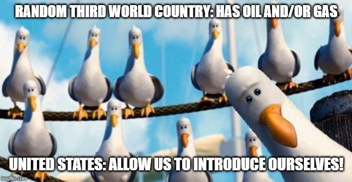 Freedom time? | RANDOM THIRD WORLD COUNTRY: HAS OIL AND/OR GAS; UNITED STATES: ALLOW US TO INTRODUCE OURSELVES! | image tagged in nemo birds,america,oil,gas,freedom,war | made w/ Imgflip meme maker