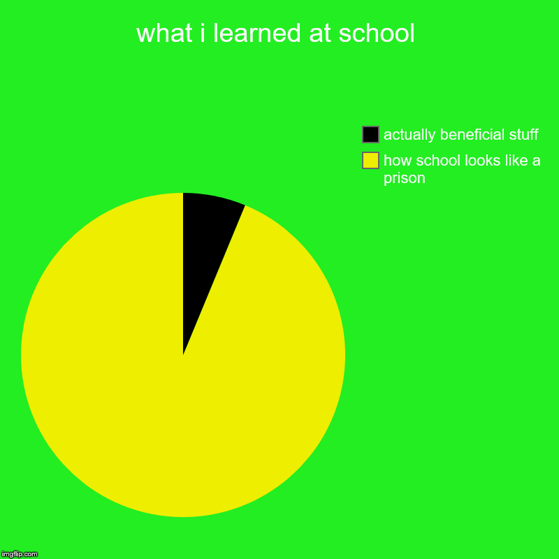 what i learned at school | how school looks like a prison, actually beneficial stuff | image tagged in charts,pie charts | made w/ Imgflip chart maker