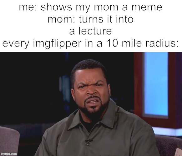 Really? Ice Cube | me: shows my mom a meme
mom: turns it into a lecture
every imgflipper in a 10 mile radius: | image tagged in really ice cube | made w/ Imgflip meme maker