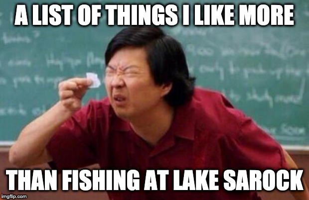 List of people I trust | A LIST OF THINGS I LIKE MORE; THAN FISHING AT LAKE SAROCK | image tagged in list of people i trust | made w/ Imgflip meme maker
