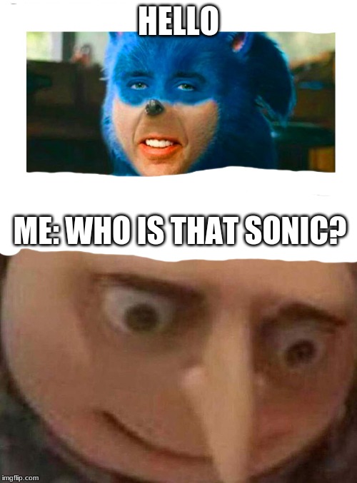 sonic | HELLO; ME: WHO IS THAT SONIC? | image tagged in funny,gru | made w/ Imgflip meme maker