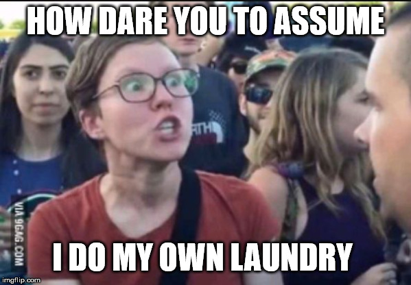 Femenist stereotype | HOW DARE YOU TO ASSUME I DO MY OWN LAUNDRY | image tagged in femenist stereotype | made w/ Imgflip meme maker