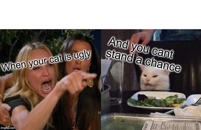 Woman Yelling At Cat | And you cant stand a chance; When your cat is ugly | image tagged in memes,woman yelling at cat | made w/ Imgflip meme maker