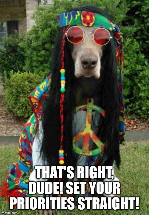 Hippie dog  | THAT'S RIGHT, DUDE! SET YOUR PRIORITIES STRAIGHT! | image tagged in hippie dog | made w/ Imgflip meme maker