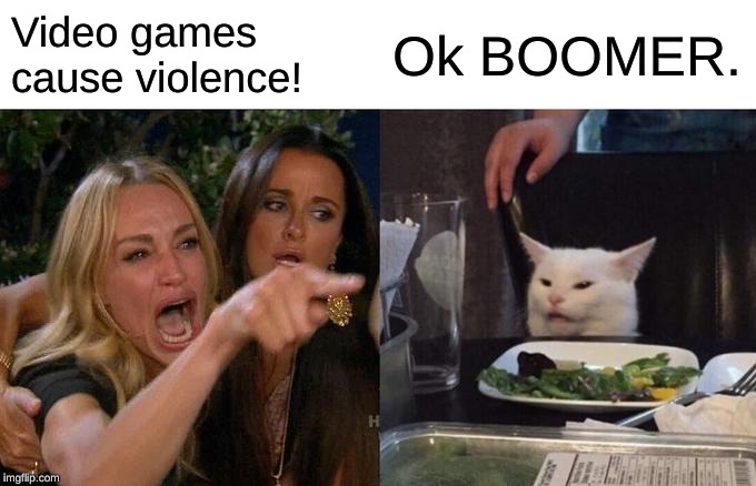Woman Yelling At Cat | Video games cause violence! Ok BOOMER. | image tagged in memes,woman yelling at cat | made w/ Imgflip meme maker
