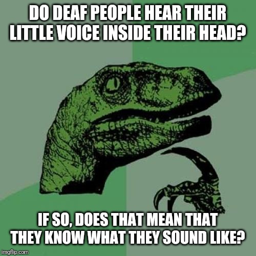 Philosoraptor | DO DEAF PEOPLE HEAR THEIR LITTLE VOICE INSIDE THEIR HEAD? IF SO, DOES THAT MEAN THAT THEY KNOW WHAT THEY SOUND LIKE? | image tagged in memes,philosoraptor | made w/ Imgflip meme maker