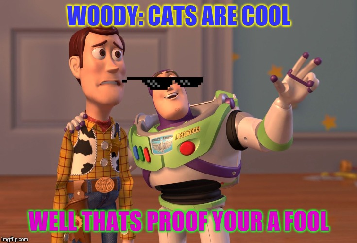X, X Everywhere | WOODY: CATS ARE COOL; WELL THATS PROOF YOUR A FOOL | image tagged in memes,x x everywhere,cats | made w/ Imgflip meme maker