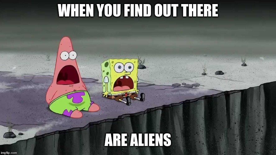 SpongeBob and Patrick Just Saw | WHEN YOU FIND OUT THERE ARE ALIENS | image tagged in spongebob and patrick just saw | made w/ Imgflip meme maker