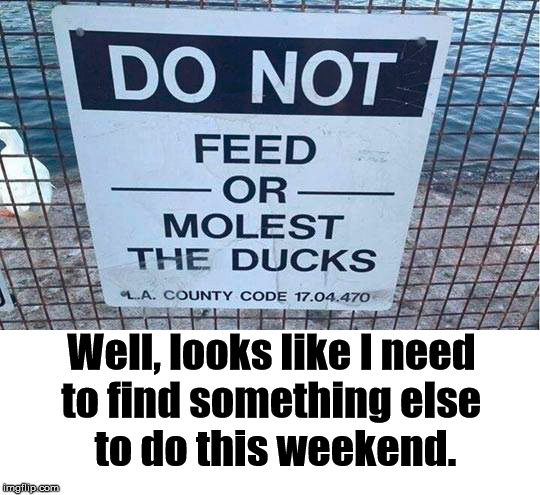 Well, looks like I need 
to find something else 
to do this weekend. | made w/ Imgflip meme maker
