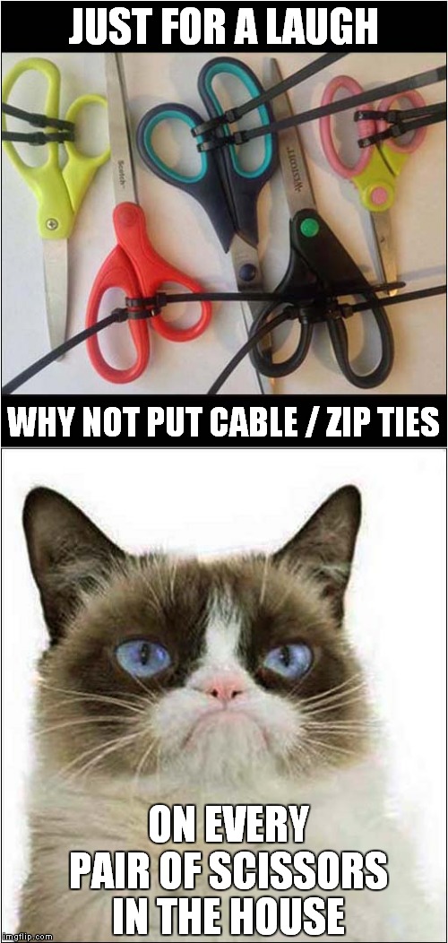 Grumpys Cable/Zip Tie Challenge | JUST FOR A LAUGH; WHY NOT PUT CABLE / ZIP TIES; ON EVERY PAIR OF SCISSORS; IN THE HOUSE | image tagged in fun,grumpy cat,frustration | made w/ Imgflip meme maker