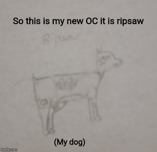 So this is my new OC it is ripsaw; (My dog) | made w/ Imgflip meme maker