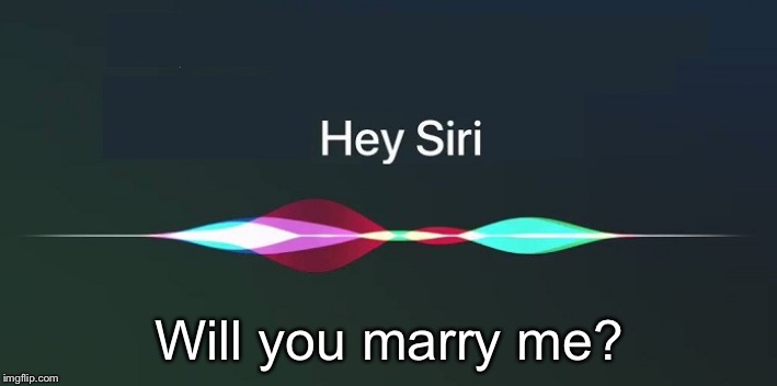 Hey Siri! | Will you marry me? | image tagged in hey siri | made w/ Imgflip meme maker