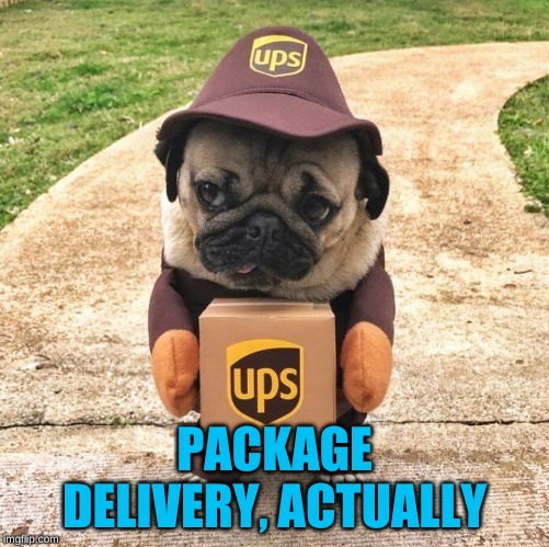 Pug package | PACKAGE DELIVERY, ACTUALLY | image tagged in pug package | made w/ Imgflip meme maker