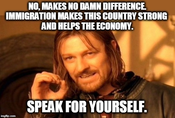 One Does Not Simply Meme | NO, MAKES NO DAMN DIFFERENCE. IMMIGRATION MAKES THIS COUNTRY STRONG 
AND HELPS THE ECONOMY. SPEAK FOR YOURSELF. | image tagged in memes,one does not simply | made w/ Imgflip meme maker