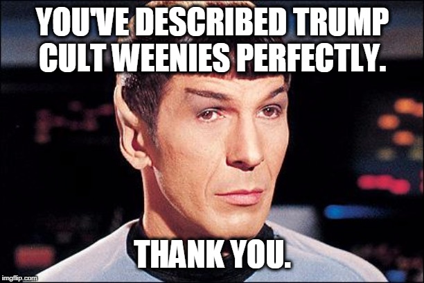 Condescending Spock | YOU'VE DESCRIBED TRUMP CULT WEENIES PERFECTLY. THANK YOU. | image tagged in condescending spock | made w/ Imgflip meme maker