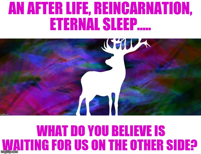 AN AFTER LIFE, REINCARNATION,  ETERNAL SLEEP..... WHAT DO YOU BELIEVE IS WAITING FOR US ON THE OTHER SIDE? | image tagged in thanks again for the template corviknight,what's on the other side,don't fear the reaper | made w/ Imgflip meme maker