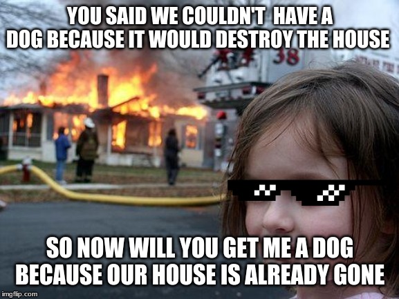 Disaster Girl Meme | YOU SAID WE COULDN'T  HAVE A DOG BECAUSE IT WOULD DESTROY THE HOUSE; SO NOW WILL YOU GET ME A DOG BECAUSE OUR HOUSE IS ALREADY GONE | image tagged in memes,disaster girl | made w/ Imgflip meme maker