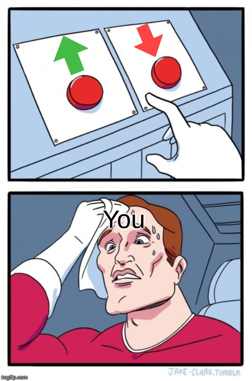 Two Buttons | You | image tagged in memes,two buttons | made w/ Imgflip meme maker