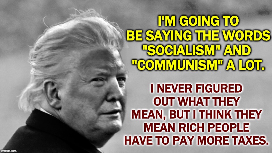 Election year blather from a man who can't spell "Dow Jones." | I'M GOING TO BE SAYING THE WORDS "SOCIALISM" AND 
"COMMUNISM" A LOT. I NEVER FIGURED OUT WHAT THEY MEAN, BUT I THINK THEY MEAN RICH PEOPLE HAVE TO PAY MORE TAXES. | image tagged in trump tan in bw,trump,socialism,communism,election 2020 | made w/ Imgflip meme maker
