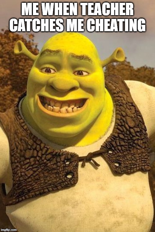 Smiling Shrek | ME WHEN TEACHER CATCHES ME CHEATING | image tagged in smiling shrek | made w/ Imgflip meme maker