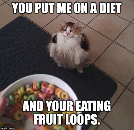 Loops Brother | YOU PUT ME ON A DIET; AND YOUR EATING FRUIT LOOPS. | image tagged in loops brother | made w/ Imgflip meme maker