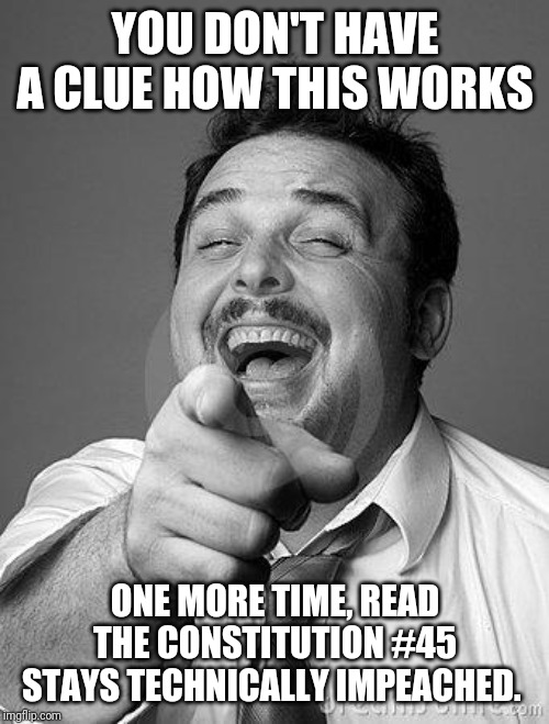 laughingguy | YOU DON'T HAVE A CLUE HOW THIS WORKS ONE MORE TIME, READ THE CONSTITUTION #45 STAYS TECHNICALLY IMPEACHED. | image tagged in laughingguy | made w/ Imgflip meme maker
