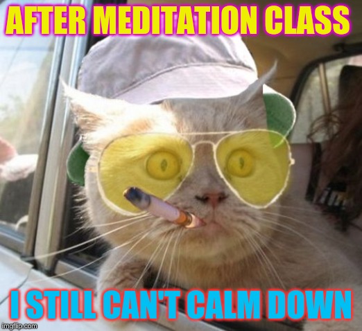 Fear And Loathing Cat | AFTER MEDITATION CLASS; I STILL CAN'T CALM DOWN | image tagged in memes,fear and loathing cat | made w/ Imgflip meme maker