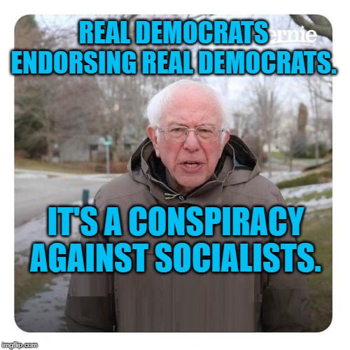 Bernie Sanders | REAL DEMOCRATS ENDORSING REAL DEMOCRATS. IT'S A CONSPIRACY AGAINST SOCIALISTS. | image tagged in bernie sanders | made w/ Imgflip meme maker