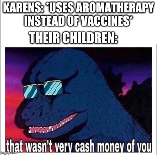That wasn’t very cash money | KARENS: *USES AROMATHERAPY INSTEAD OF VACCINES*; THEIR CHILDREN: | image tagged in that wasnt very cash money | made w/ Imgflip meme maker