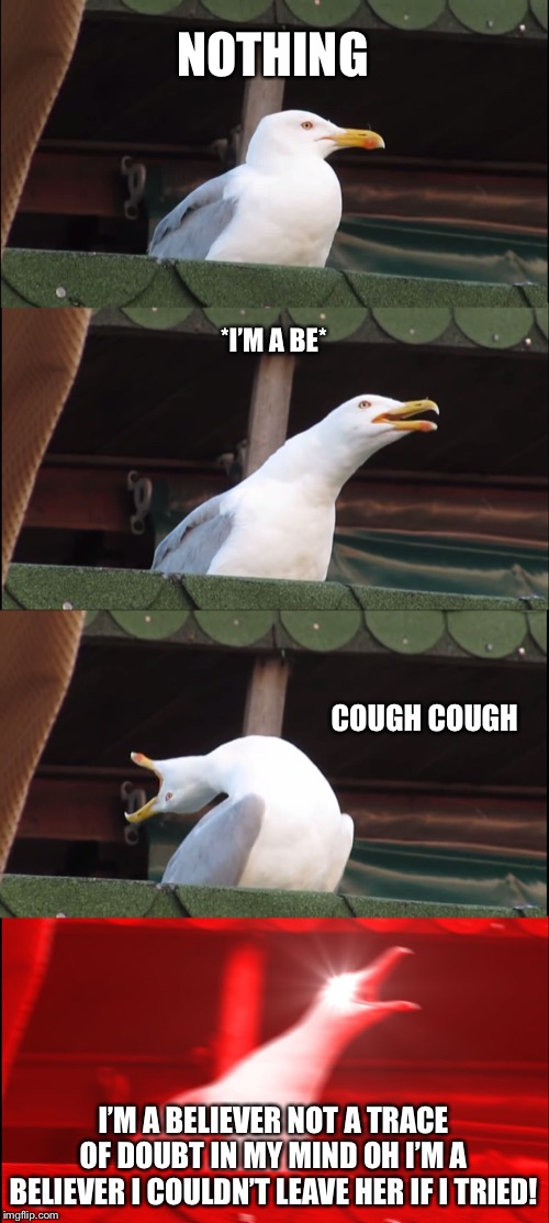 Inhaling Seagull | NOTHING; *I’M A BE*; COUGH COUGH; I’M A BELIEVER NOT A TRACE OF DOUBT IN MY MIND OH I’M A BELIEVER I COULDN’T LEAVE HER IF I TRIED! | image tagged in memes,inhaling seagull | made w/ Imgflip meme maker