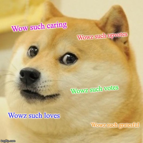 Doge | Wow such caring; Wowz such upvotes; Wowz such votes; Wowz such loves; Wowz such gratesful | image tagged in memes,doge | made w/ Imgflip meme maker