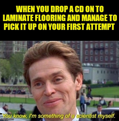 You know, I'm something of a scientist myself | WHEN YOU DROP A CD ON TO LAMINATE FLOORING AND MANAGE TO PICK IT UP ON YOUR FIRST ATTEMPT | image tagged in you know i'm something of a scientist myself,yes i still own cds,minor victory | made w/ Imgflip meme maker