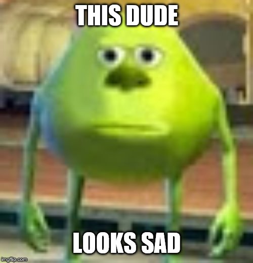 Sully Wazowski | THIS DUDE; LOOKS SAD | image tagged in sully wazowski,sad | made w/ Imgflip meme maker