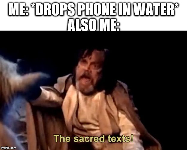 The sacred texts! | ME: *DROPS PHONE IN WATER*
ALSO ME: | image tagged in the sacred texts,relatable,texting | made w/ Imgflip meme maker