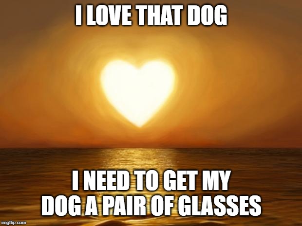 Love | I LOVE THAT DOG I NEED TO GET MY DOG A PAIR OF GLASSES | image tagged in love | made w/ Imgflip meme maker