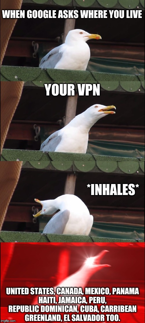 Inhaling Seagull Meme | WHEN GOOGLE ASKS WHERE YOU LIVE; YOUR VPN; *INHALES*; UNITED STATES, CANADA, MEXICO, PANAMA
HAITI, JAMAICA, PERU,
REPUBLIC DOMINICAN, CUBA, CARRIBEAN
GREENLAND, EL SALVADOR TOO. | image tagged in memes,inhaling seagull | made w/ Imgflip meme maker