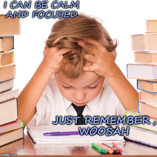 Remember Woosah! | I CAN BE CALM 
AND FOCUSED; JUST REMEMBER,
WOOSAH | image tagged in focus,woosah,affirmation | made w/ Imgflip meme maker