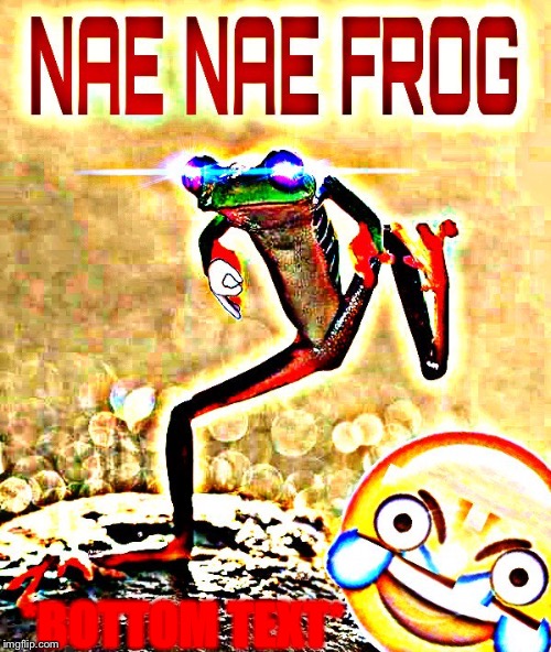 ?️ottom text | *BOTTOM TEXT* | image tagged in deep fried | made w/ Imgflip meme maker