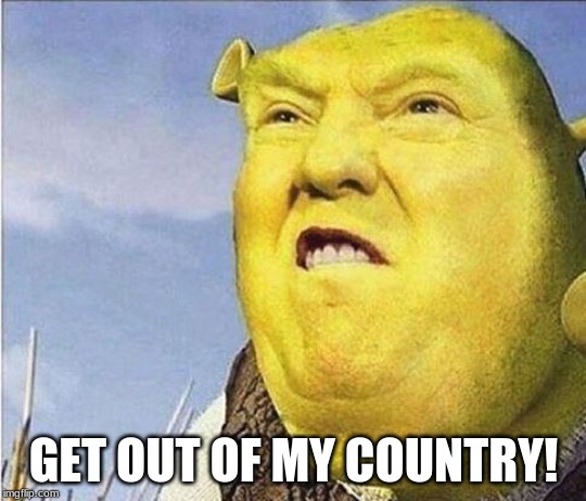 GET OUT OF MY COUNTRY! | image tagged in shrek,donald trump | made w/ Imgflip meme maker