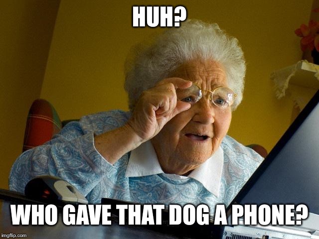 Grandma Finds The Internet Meme | HUH? WHO GAVE THAT DOG A PHONE? | image tagged in memes,grandma finds the internet | made w/ Imgflip meme maker