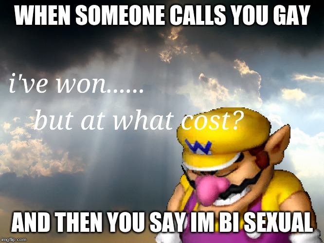 I have won...but at what cost | WHEN SOMEONE CALLS YOU GAY; AND THEN YOU SAY IM BI SEXUAL | image tagged in i have wonbut at what cost | made w/ Imgflip meme maker