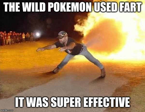 fire fart | THE WILD POKEMON USED FART; IT WAS SUPER EFFECTIVE | image tagged in fire fart | made w/ Imgflip meme maker