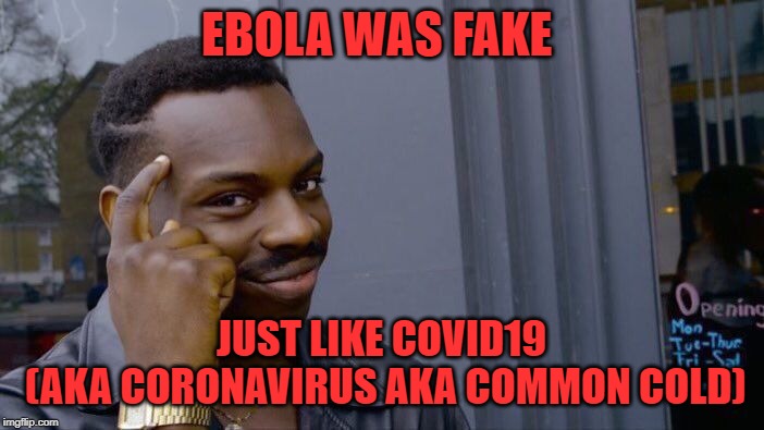 Roll Safe Think About It Meme | EBOLA WAS FAKE JUST LIKE COVID19
 (AKA CORONAVIRUS AKA COMMON COLD) | image tagged in memes,roll safe think about it | made w/ Imgflip meme maker