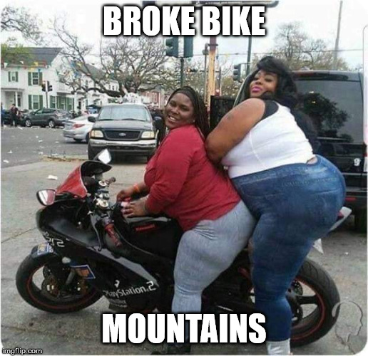 Heavy Load | BROKE BIKE; MOUNTAINS | image tagged in funny memes,fat cat,overweight | made w/ Imgflip meme maker