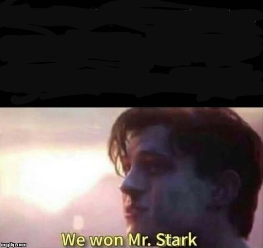 We won Mr. Stark | image tagged in we won mr stark | made w/ Imgflip meme maker