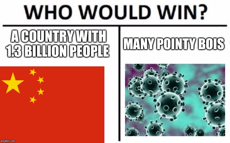 Who Would Win? | A COUNTRY WITH 1.3 BILLION PEOPLE; MANY POINTY BOIS | image tagged in memes,who would win | made w/ Imgflip meme maker
